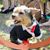 Dawn M. Addison's profile image