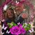Audrey Head Harris's profile image