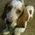 Heather Alcorn's profile image