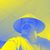 James Hallaman's profile image