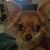 Jodi Hodges's profile image