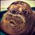 Matthew Fishel's profile image