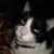 Sisto Canales's profile image