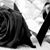 Luis A Lopez's profile image