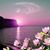 Patricia Pilege's profile image