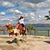 Theresa Gallo's profile image