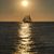 Orit Blankrot's profile image