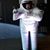 Philip Jackson's profile image