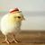 Eduardo Picena Belmontes's profile image