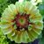 Deb Terrill's profile image