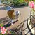 Saniya Umer's profile image