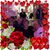 Gerri Pucci Zoppa's profile image