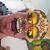 Jason Morphlex's profile image