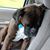 Virginia Schlies's profile image