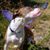 Kathleen Gallafraigh's profile image