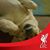 Tony Collyard's profile image