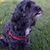 Cindy Hurd's profile image
