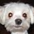 Barbara Marshall's profile image