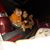 Sandy La Bogstie's profile image