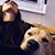 Carly Feddersen's profile image