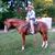 Rene Garcia's profile image