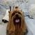Tammey Smith's profile image