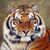 Kimberly Churchman's profile image