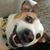 Kerri Manes's profile image