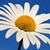 Monro Lee Gins's profile image