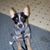 Heather Davis's profile image