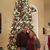 Sherri Lynne Sparrow's profile image