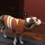 Jennifer Randall's profile image