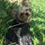 Kim Stearns's profile image