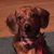 Joyce Gregory's profile image