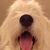 Joseph Lin's profile image