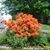 Lois Bennett's profile image