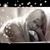 Kameron McCullough Smith's profile image