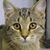 Marie LaFevre's profile image