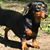 Michele Marie Ballard's profile image