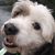 Carol Milligan's profile image