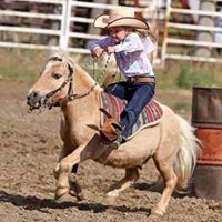 Barbara Searson Gerken's profile image