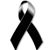 Diana Toriz's profile image