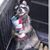Taylor Pollock's profile image