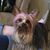 Linda Black's profile image