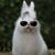 Debbie Capps's profile image