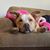 Jill Wright Sawyer's profile image