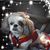 Shelly Dabbs's profile image