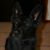 SuZanne Silkett's profile image