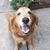 Diane Garrison Wray's profile image