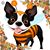 Tammy Bachmann's profile image